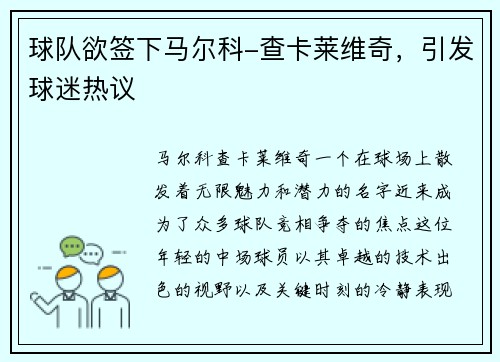 球队欲签下马尔科-查卡莱维奇，引发球迷热议