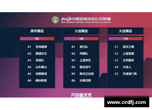 yl6809永利官网大连人队员受伤，影响球队成绩表现 - 副本